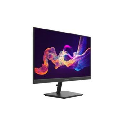 DS-D5024F2-AP2(EU) - 23,8" LED monitor s tenkými rámečky, 1920x1080, 100Hz, VGA, HDMI