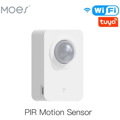 WSS-FL-PIR-A-EN - Pohybový WiFi Smart Sensor
